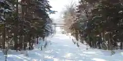 上川神社の建物その他