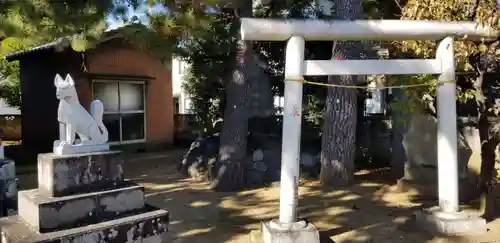 樋野口稲荷神社の鳥居