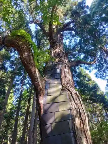 志和稲荷神社(岩手県)