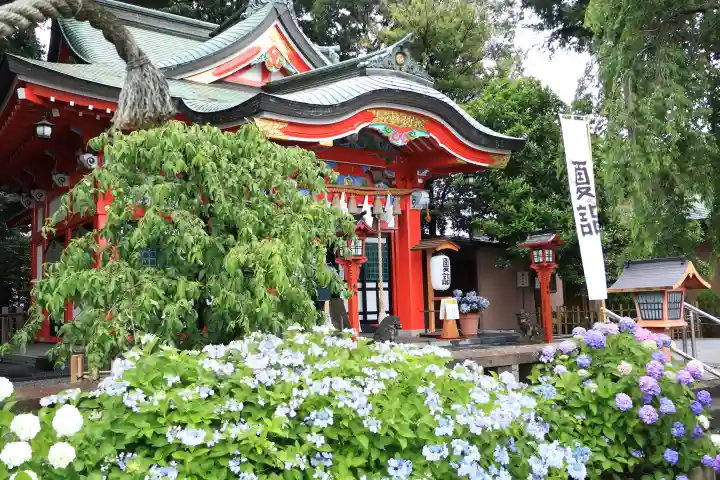 川越八幡宮(埼玉県)