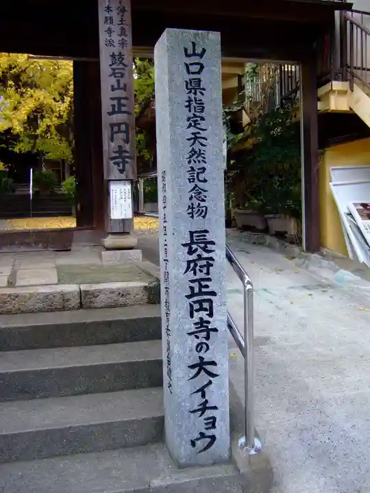 正円寺(山口県)