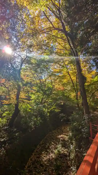 神藏寺(京都府)