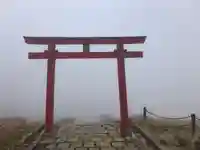 箱根元宮の鳥居