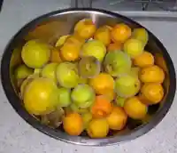 福泉寺(静岡県)