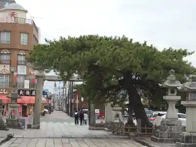 防府天満宮(山口県)