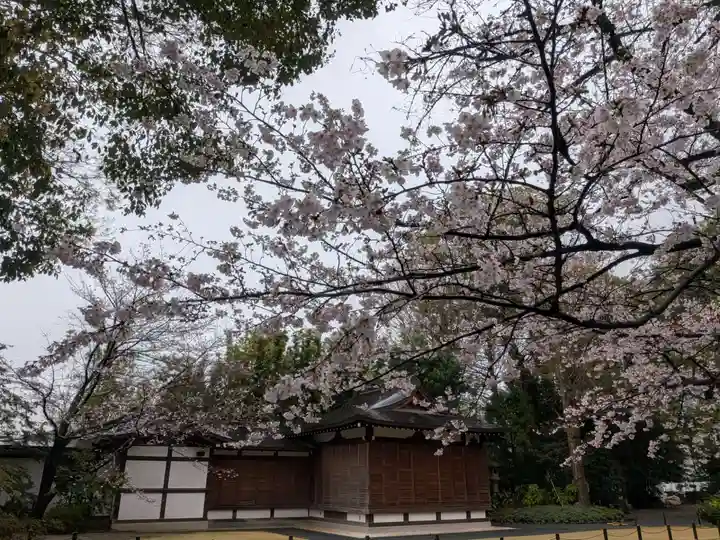 阿佐ヶ谷神明宮(東京都)