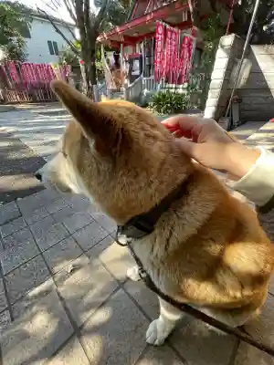 笠䅣稲荷神社(神奈川県)