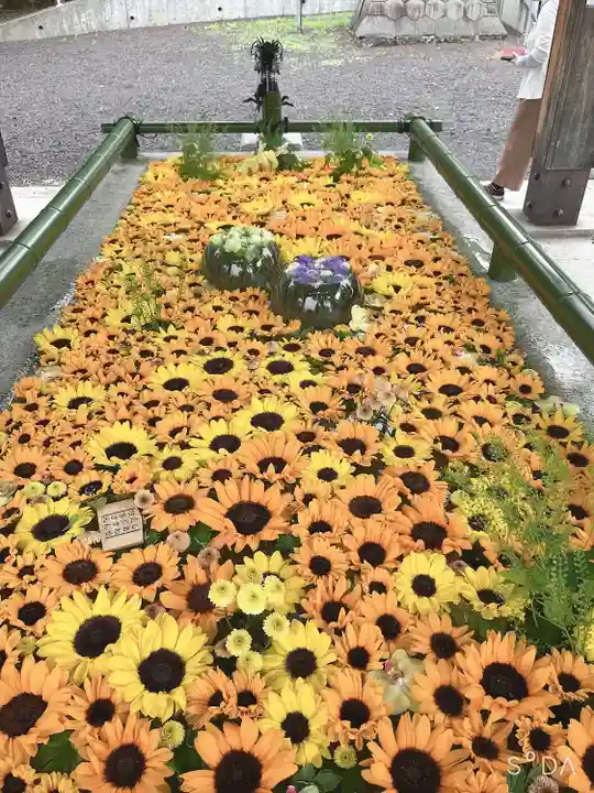 住吉神社の手水舎