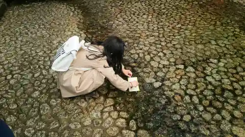 賀茂御祖神社（下鴨神社）の{uncategorized: "未分類", other: "その他", undefined: "問題あり", building: "その他建物", grave: "お墓", sacred_gate: "鳥居", guardian: "狛犬", statue: "像", buddha: "仏像", history: "歴史", nature: "自然", garden: "庭園", animal: "動物", pagoda: "塔", temizu: "手水舎", mountain_gate: "山門・神門", sanctuary: "本殿・本堂", subordinate: "末社・摂社", art: "芸術", scenery: "景色", jizo: "地蔵", ema: "絵馬", goshuin: "御朱印", omikuji: "おみくじ", items: "授与品その他", amulet: "お守り", goshuincho: "御朱印帳", eats: "食事", festival: "お祭り", votive_dance: "神楽", shichigosan: "七五三参", wedding: "結婚式", experience: "体験その他", initially: "初詣", around: "周辺", anti_infection: "感染症対策"}