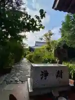 天真院(京都府)