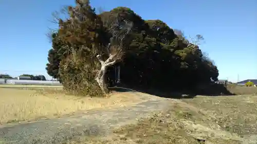 𠮷田神社の景色