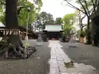 星川杉山神社の本殿・本堂