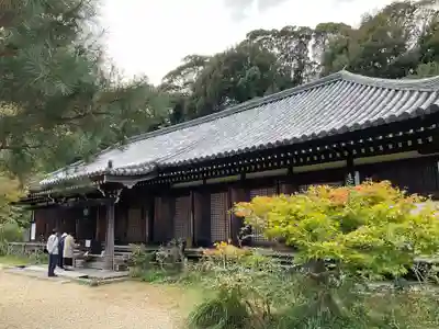浄瑠璃寺(京都府)