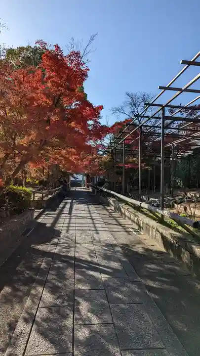 乙訓寺(京都府)