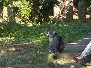 塩釜神社(徳島県)