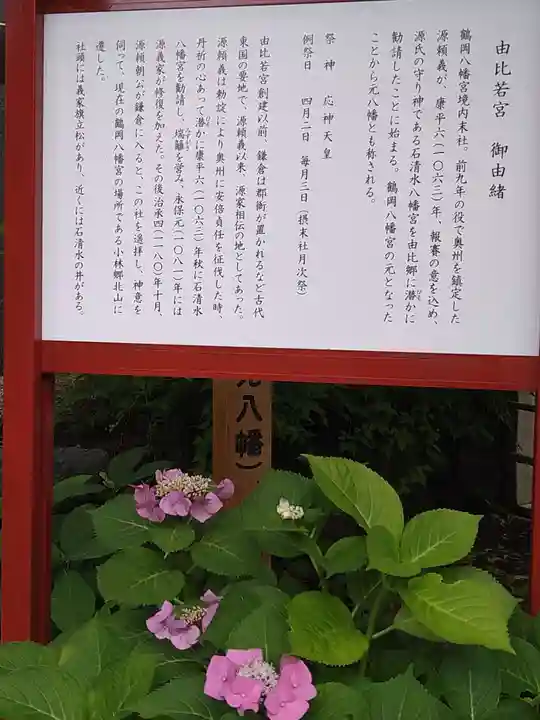 由比若宮(元鶴岡八幡宮)の歴史
