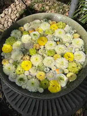 行田八幡神社(埼玉県)