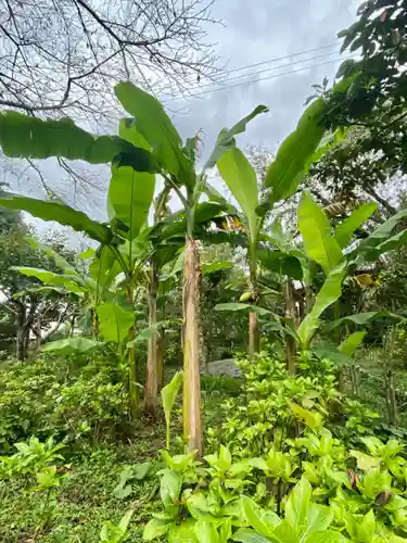惠心院(京都府)