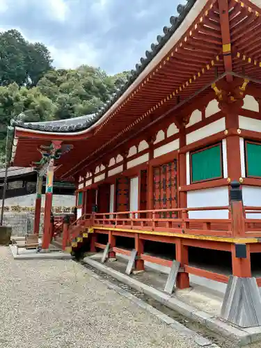 金剛寺の本殿・本堂