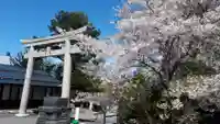 住吉神社の鳥居