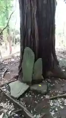 愛宕神社(茨城県)