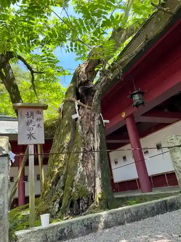 笠間稲荷神社の庭園