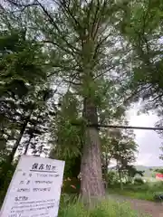 仁頃神社(北海道)