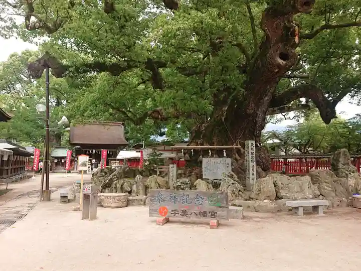 宇美八幡宮(福岡県)