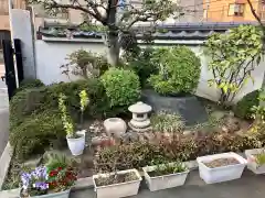 竜光院の庭園