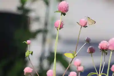 熊野福藏神社の手水舎