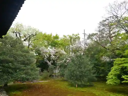 宝鏡寺の庭園