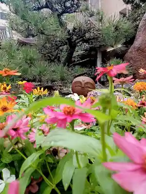 藤次寺(大阪府)