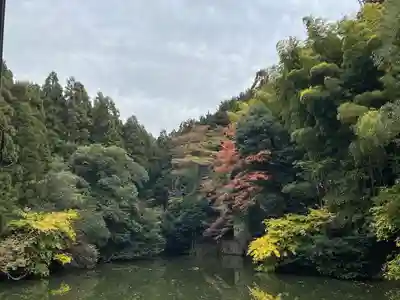 伏見稲荷大社(京都府)