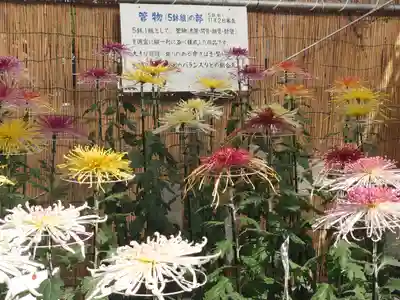 蓮池弁財天社(神奈川県)