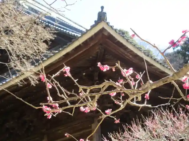 妙本寺のその他建物