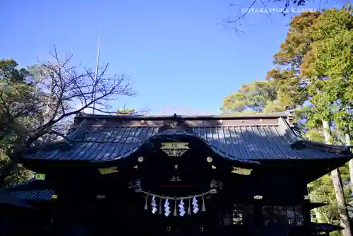 玉前神社(千葉県)