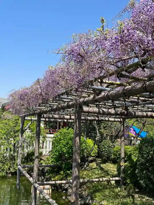 亀戸天神社(東京都)