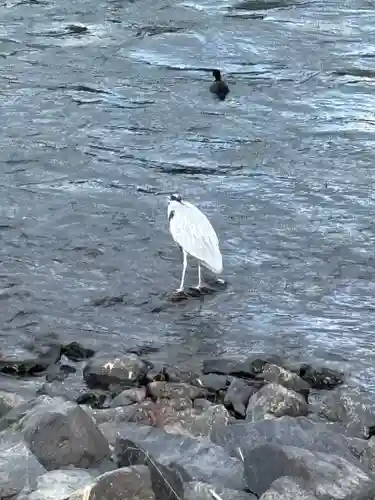 宇治神社(京都府)