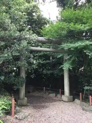 櫻木神社の鳥居