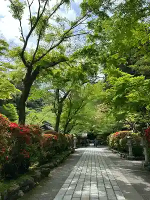 石山寺の{uncategorized: "未分類", other: "その他", undefined: "問題あり", building: "その他建物", grave: "お墓", sacred_gate: "鳥居", guardian: "狛犬", statue: "像", buddha: "仏像", history: "歴史", nature: "自然", garden: "庭園", animal: "動物", pagoda: "塔", temizu: "手水舎", mountain_gate: "山門・神門", sanctuary: "本殿・本堂", subordinate: "末社・摂社", art: "芸術", scenery: "景色", jizo: "地蔵", ema: "絵馬", goshuin: "御朱印", omikuji: "おみくじ", items: "授与品その他", amulet: "お守り", goshuincho: "御朱印帳", eats: "食事", festival: "お祭り", votive_dance: "神楽", shichigosan: "七五三参", wedding: "結婚式", experience: "体験その他", initially: "初詣", around: "周辺", anti_infection: "感染症対策"}