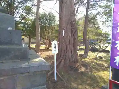 伊達神社(北海道)
