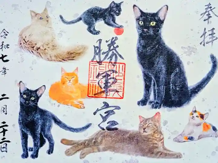 令和7年 月替り 黒猫御朱印 2月
初穂料 500円