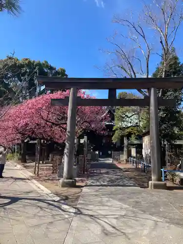 荏原神社の鳥居