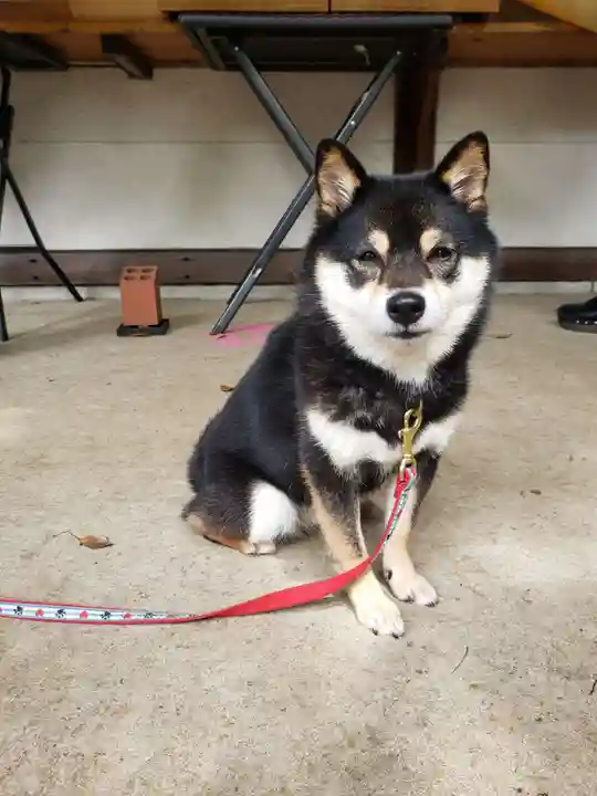 上目黒氷川神社(東京都)