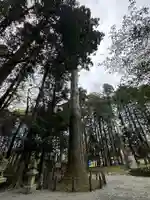 厳島神社(静岡県)
