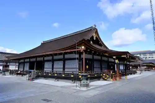 東寺（教王護国寺）の本殿・本堂