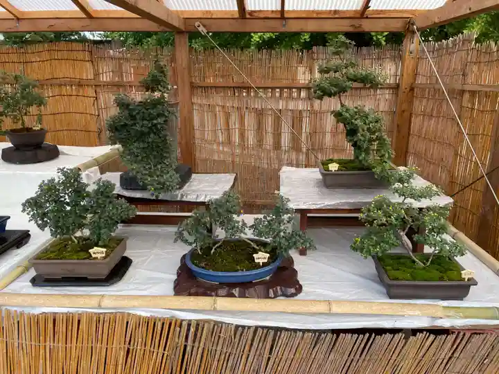 本願寺(西本願寺)(京都府)