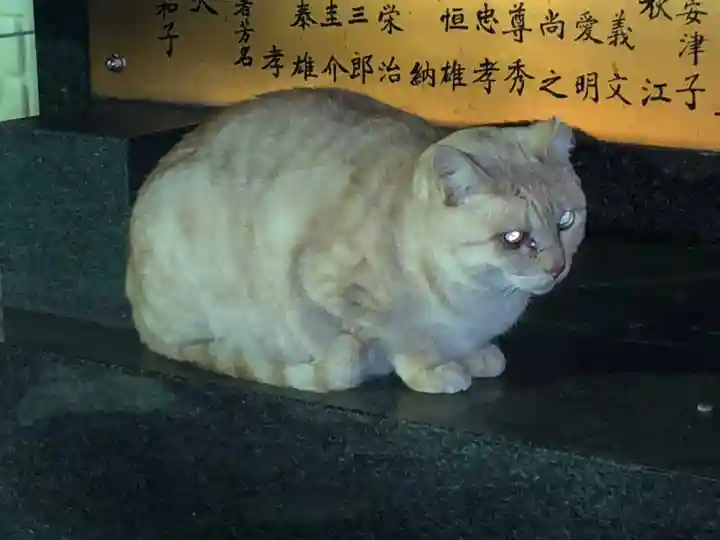 王子神社の動物