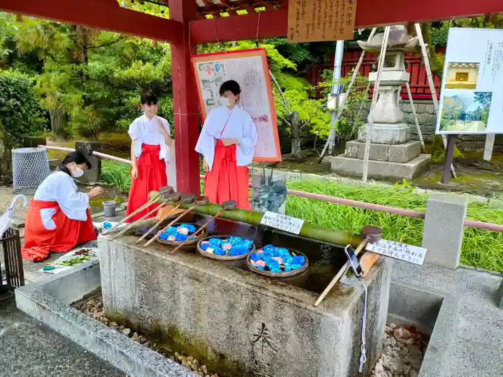 津島神社の手水舎