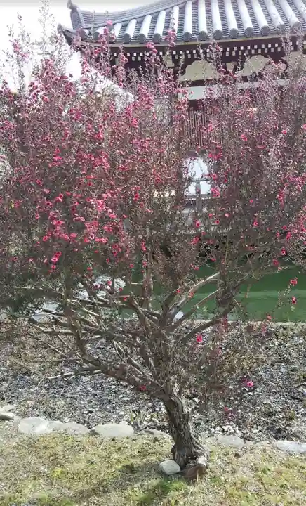 海龍王寺(奈良県)